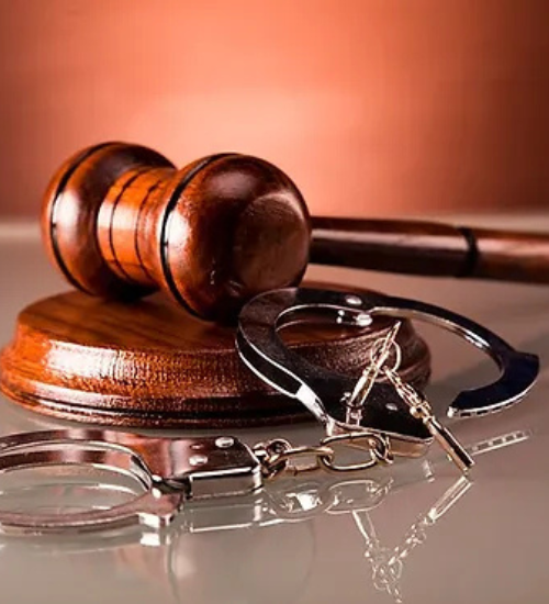 Criminal Litigation Lawyer