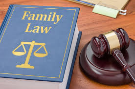 Family Law Lawyer